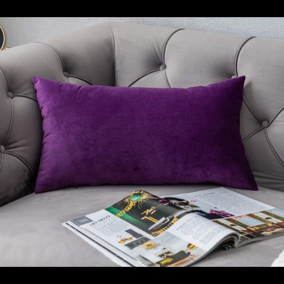 NWT Decorative velvet Pillow Covers - Picture 4 of 4
